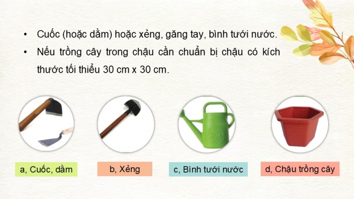 Giáo án điện tử Công nghệ 9 Trồng cây ăn quả Cánh diều Bài 10: Thực hành trồng và chăm sóc cây ăn quả