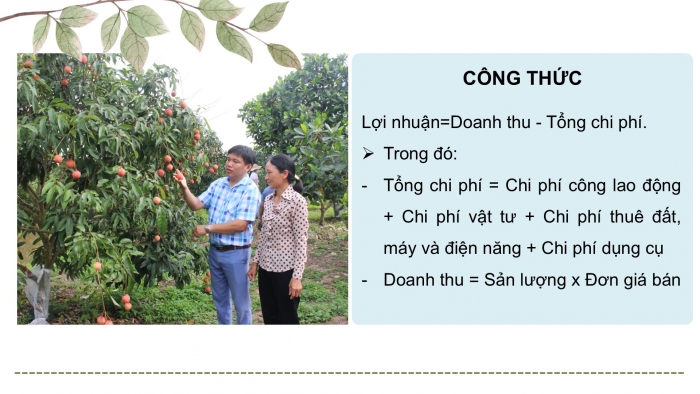 Giáo án điện tử Công nghệ 9 Trồng cây ăn quả Cánh diều Bài 11: Tính chi phí và hiệu quả của việc trồng cây ăn quả