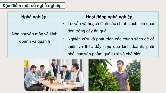 Giáo án điện tử Công nghệ 9 Trồng cây ăn quả Cánh diều Bài 12: Một số ngành nghề liên quan đến trồng cây ăn quả