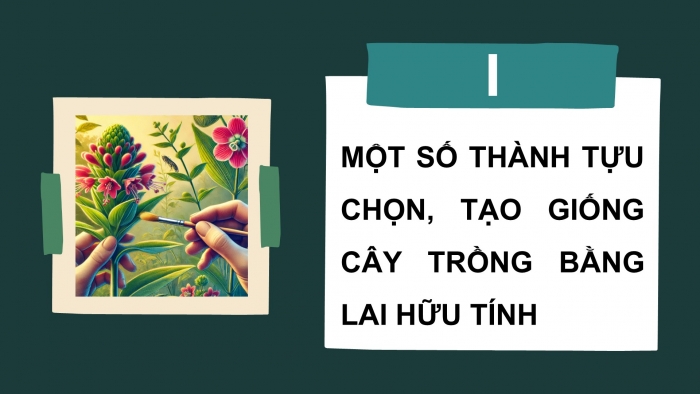 Giáo án điện tử Sinh học 12 cánh diều Bài 12: Thành tựu chọn, tạo giống bằng lai hữu tính