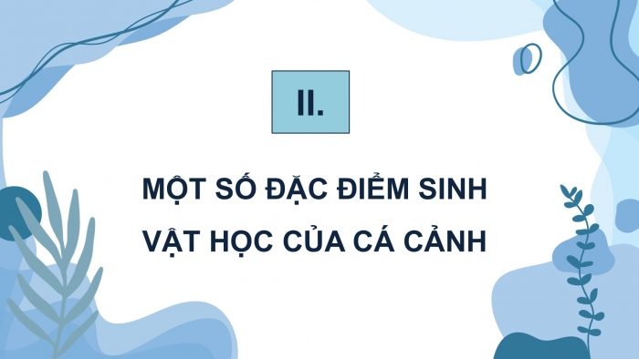 Giáo án điện tử chuyên đề Công nghệ 12 Lâm nghiệp Thuỷ sản Kết nối Bài 10: Giới thiệu chung về cá cảnh