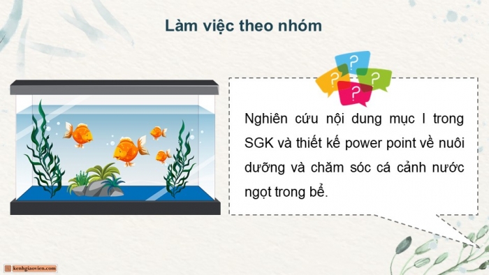 Giáo án điện tử chuyên đề Công nghệ 12 Lâm nghiệp Thuỷ sản Kết nối Bài 11: Nuôi dưỡng và chăm sóc cá cảnh nước ngọt