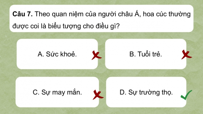 Giáo án điện tử Ngữ văn 9 kết nối Bài 9: Văn hóa hoa – cây cảnh (Trần Quốc Vượng)