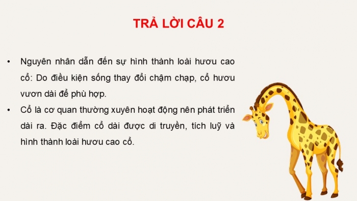 Giáo án điện tử KHTN 9 kết nối - Phân môn Sinh học Bài 50: Cơ chế tiến hóa