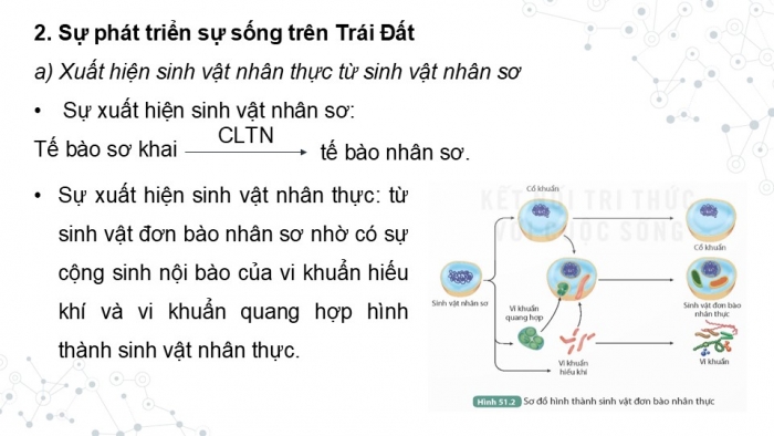 Giáo án điện tử KHTN 9 kết nối - Phân môn Sinh học Bài 51: Sự phát sinh và phát triển sự sống trên Trái Đất