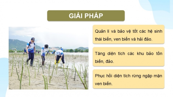 Giáo án điện tử Địa lí 9 kết nối Bài 22: Phát triển tổng hợp kinh tế và bảo vệ tài nguyên, môi trường biển đảo (P2)