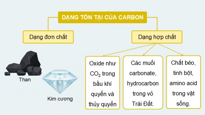 Giáo án điện tử KHTN 9 cánh diều - Phân môn Hoá học Bài 32: Nguồn carbon. Chu trình carbon. Sự ấm lên toàn cầu