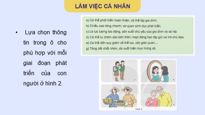 Giáo án điện tử Khoa học 5 kết nối Bài 27: Ôn tập chủ đề Con người và sức khỏe