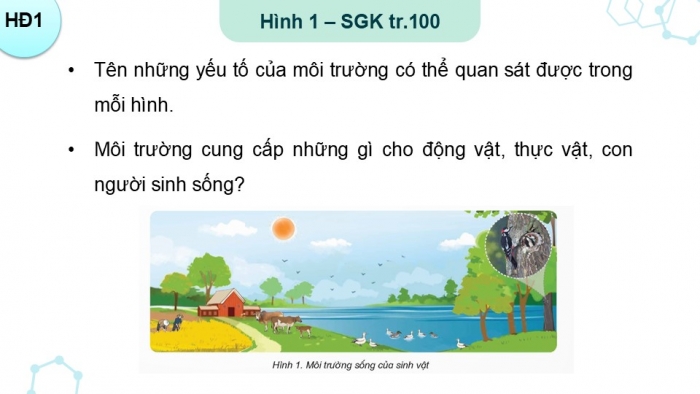 Giáo án điện tử Khoa học 5 kết nối Bài 28: Chức năng của môi trường đối với sinh vật