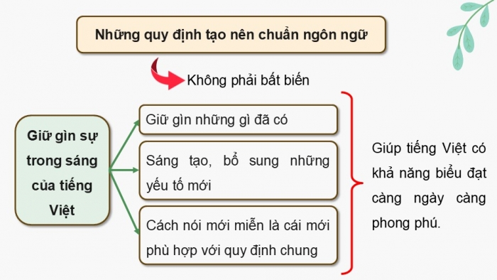 Giáo án điện tử Ngữ văn 12 kết nối Bài 9: Giữ gìn và phát triển tiếng Việt