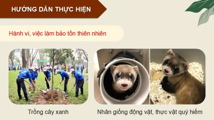 Giáo án điện tử Hoạt động trải nghiệm 12 chân trời bản 1 Chủ đề 9: Bảo vệ cảnh quan thiên nhiên, thế giới động vật và thực vật (P2)