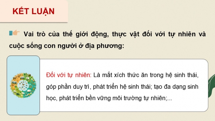 Giáo án điện tử Hoạt động trải nghiệm 12 chân trời bản 1 Chủ đề 9: Bảo vệ cảnh quan thiên nhiên, thế giới động vật và thực vật (P3)