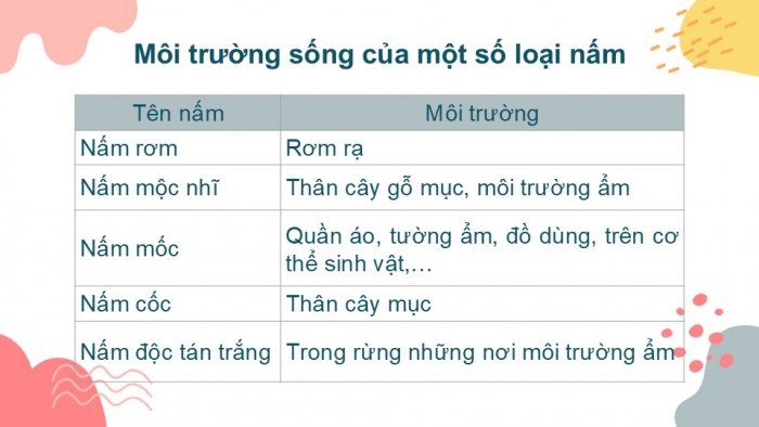 Giáo án PPT KHTN 6 chân trời Bài 28: Nấm