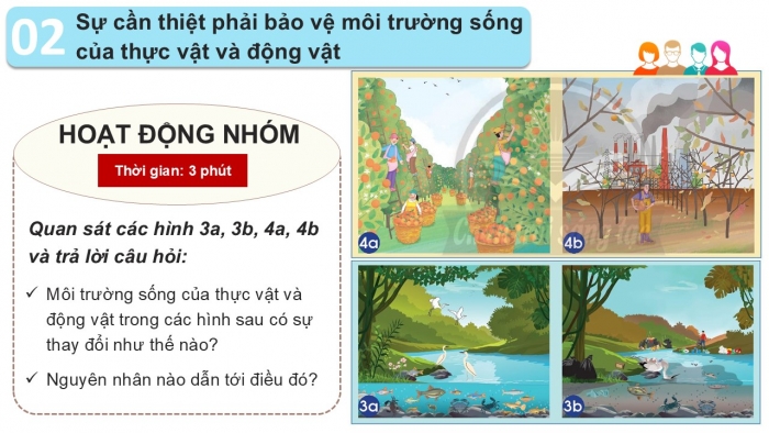 Giáo án PPT Tự nhiên và Xã hội 2 chân trời Bài 16: Bảo vệ môi trường sống của thực vật và động vật