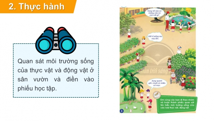 Giáo án PPT Tự nhiên và Xã hội 2 chân trời Bài 17: Thực hành tìm hiểu môi trường sống của thực vật và động vật