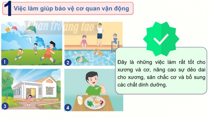 Giáo án PPT Tự nhiên và Xã hội 2 chân trời Bài 20: Chăm sóc, bảo vệ cơ quan vận động