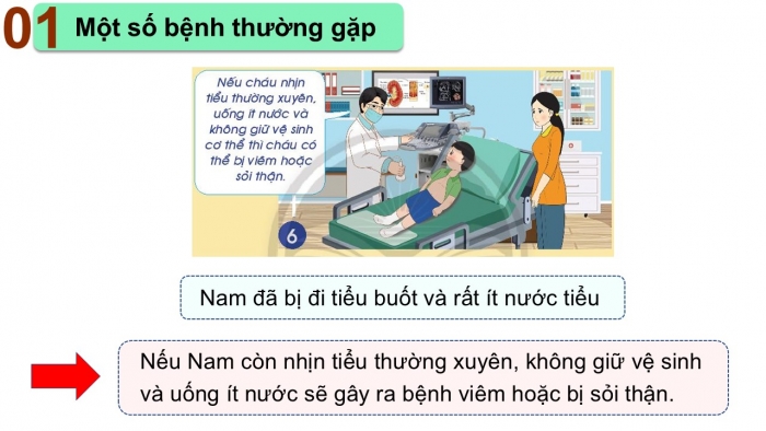 Giáo án PPT Tự nhiên và Xã hội 2 chân trời Bài 24: Chăm sóc, bảo vệ cơ quan bài tiết nước tiểu