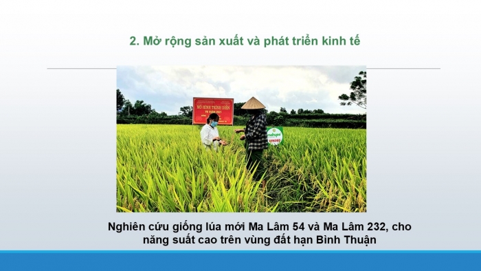 Giáo án PPT KHTN 6 cánh diều Bài 1: Giới thiệu về khoa học tự nhiên