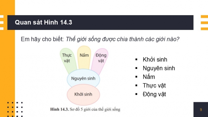 Giáo án PPT KHTN 6 cánh diều Bài 14: Phân loại thế giới sống