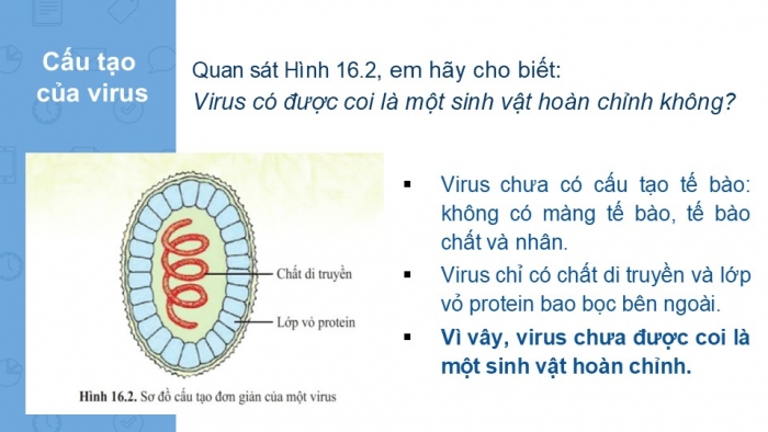 Giáo án PPT KHTN 6 cánh diều Bài 16: Virus và vi khuẩn