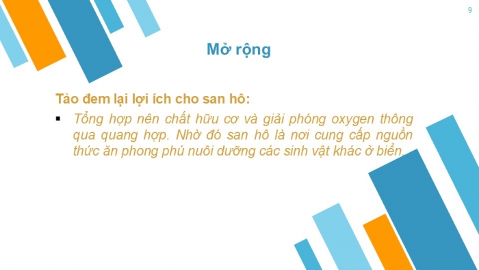 Giáo án PPT KHTN 6 cánh diều Bài 17: Đa dạng nguyên sinh vật