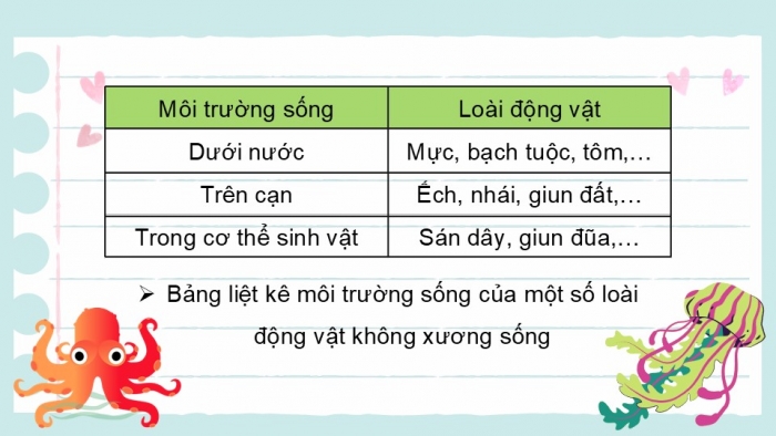 Giáo án PPT KHTN 6 cánh diều Bài 22: Đa dạng động vật không xương sống