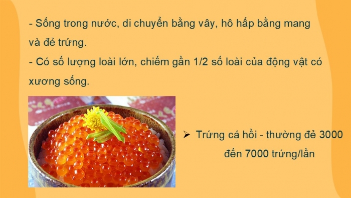 Giáo án PPT KHTN 6 cánh diều Bài 23: Đa dạng động vật có xương sống