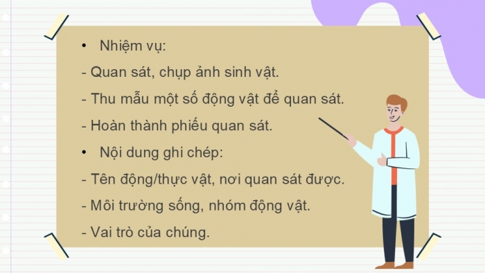 Giáo án PPT KHTN 6 cánh diều Bài 25: Tìm hiểu sinh vật ngoài thiên nhiên