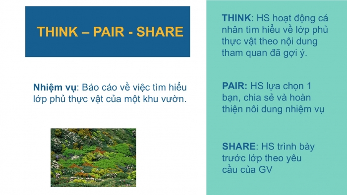 Giáo án PPT Địa lí 6 cánh diều Bài 23 Thực hành: Tìm hiểu lớp phủ thực vật ở địa phương