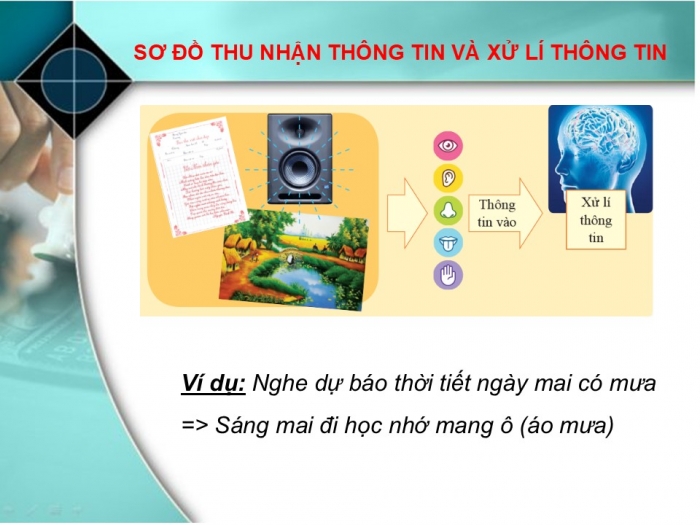 Giáo án PPT Tin học 6 cánh diều Bài 1: Thông tin – Thu nhận và xử lí thông tin