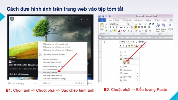 Giáo án PPT Tin học 6 cánh diều Bài 4: Thực hành tìm kiếm thông tin trên Internet