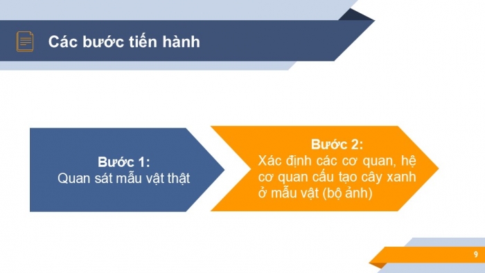 Giáo án PPT KHTN 6 chân trời Bài 21: Thực hành quan sát sinh vật