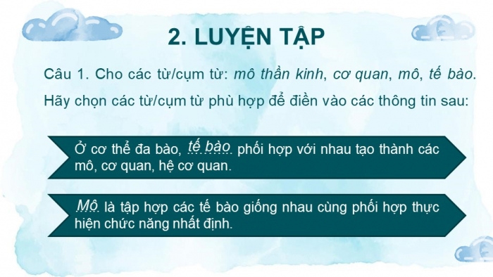 Giáo án PPT KHTN 6 chân trời Ôn tập Chủ đề 7