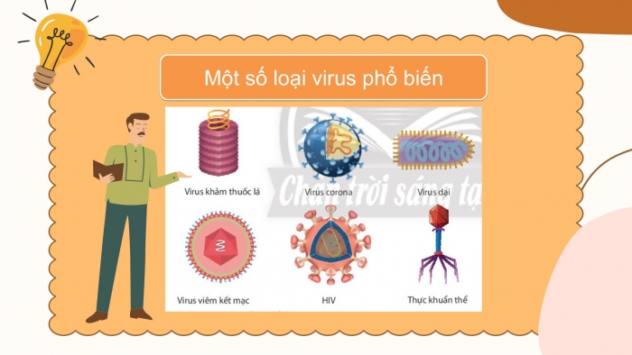 Giáo án PPT KHTN 6 chân trời Bài 24: Virus