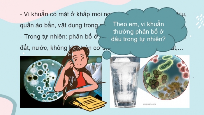 Giáo án PPT KHTN 6 chân trời Bài 25: Vi khuẩn