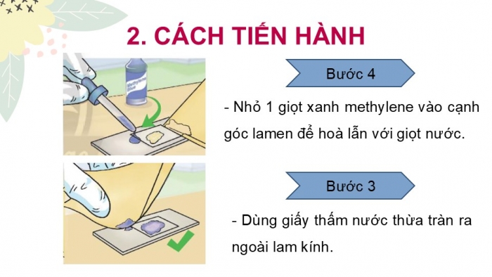 Giáo án PPT KHTN 6 chân trời Bài 26: Thực hành quan sát vi khuẩn. Tìm hiểu các bước làm sữa chua