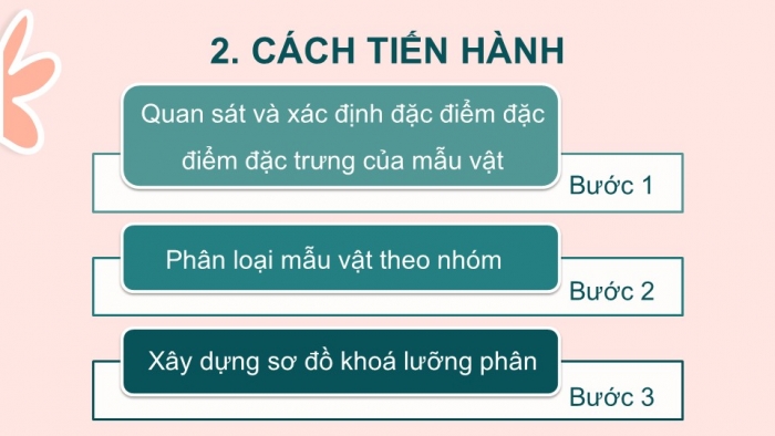 Giáo án PPT KHTN 6 chân trời Bài 30: Thực hành phân loại thực vật