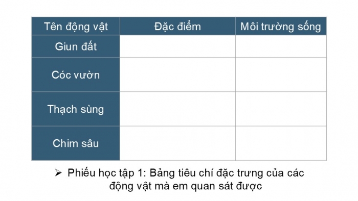 Giáo án PPT KHTN 6 chân trời Bài 32: Thực hành quan sát và phân loại động vật ngoài thiên nhiên