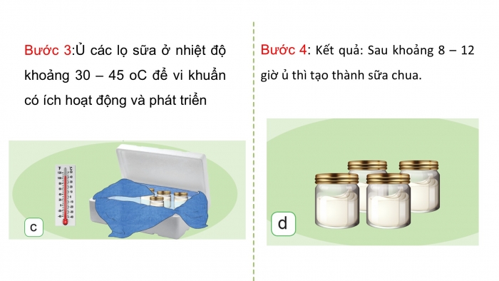 Giáo án điện tử Khoa học 5 cánh diều Bài 13: Vi khuẩn có ích trong chế biến thực phẩm