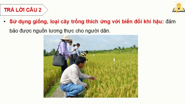 Giáo án điện tử chuyên đề Sinh học 12 chân trời Ôn tập CĐ 3