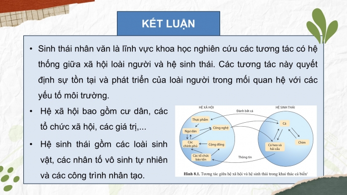 Giáo án điện tử chuyên đề Sinh học 12 cánh diều Bài 8: Sinh thái nhân văn và phát triển bền vững