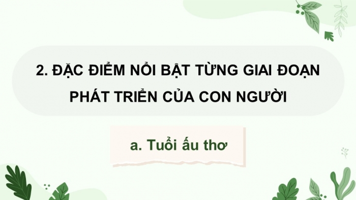 Giáo án điện tử Khoa học 5 chân trời Bài 24: Các giai đoạn phát triển của con người