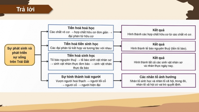 Giáo án điện tử KHTN 9 chân trời - Phân môn Sinh học Bài Ôn tập chủ đề 12