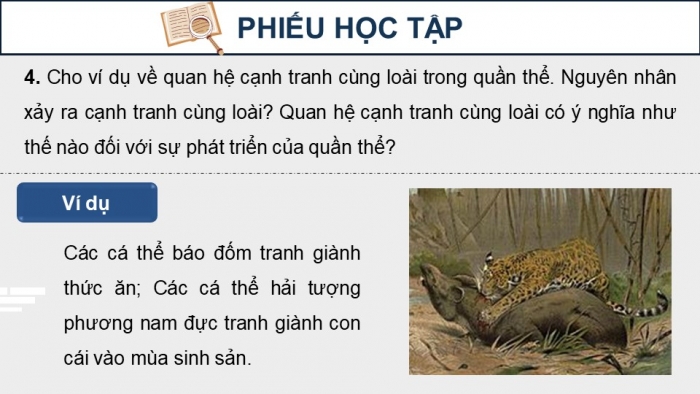 Giáo án điện tử Sinh học 12 kết nối Bài 24: Sinh thái học quần thể