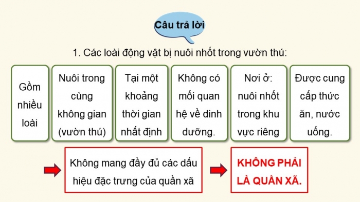 Giáo án điện tử Sinh học 12 kết nối Bài 26: Quần xã sinh vật