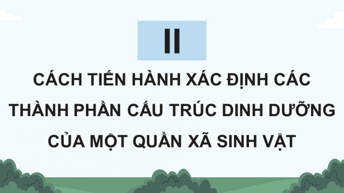 Giáo án điện tử Sinh học 12 kết nối Bài 27: Thực hành Tìm hiểu cấu trúc dinh dưỡng của quần xã trong tự nhiên