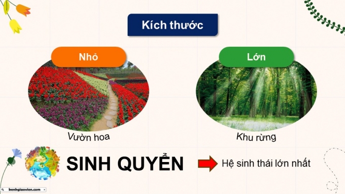 Giáo án điện tử Sinh học 12 kết nối Bài 28: Hệ sinh thái