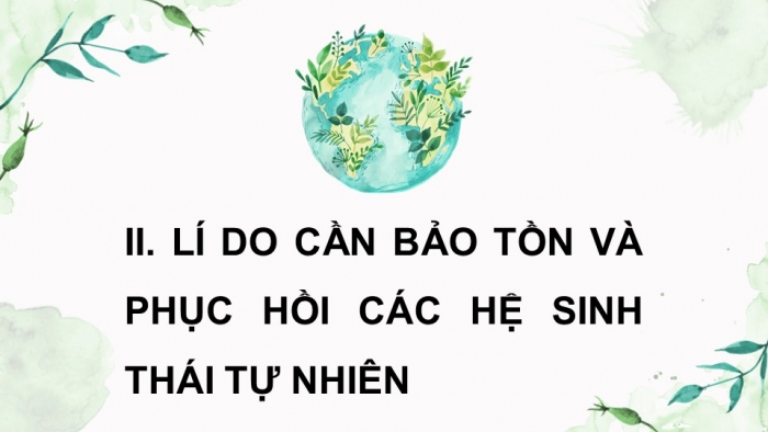 Giáo án điện tử Sinh học 12 kết nối Bài 33: Sinh thái học phục hồi và bảo tồn đa dạng sinh vật