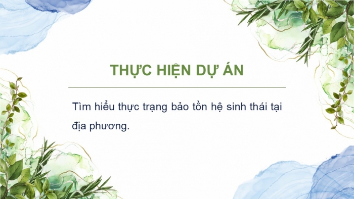 Giáo án điện tử Sinh học 12 kết nối Bài 35: Dự án Tìm hiểu thực trạng bảo tồn sinh thái tại địa phương và đề xuất giải pháp bảo tồn