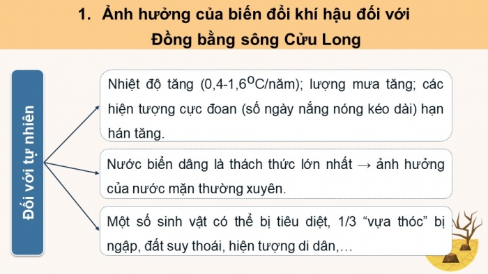 Giáo án điện tử Địa lí 12 cánh diều Bài 26: Thực hành Tìm hiểu ảnh hưởng của biến đổi khí hậu đối với Đồng bằng sông Cửu Long và các biện pháp ứng phó